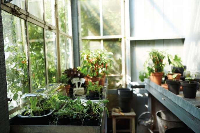 gb pots de culture starter set (set/10) living noir